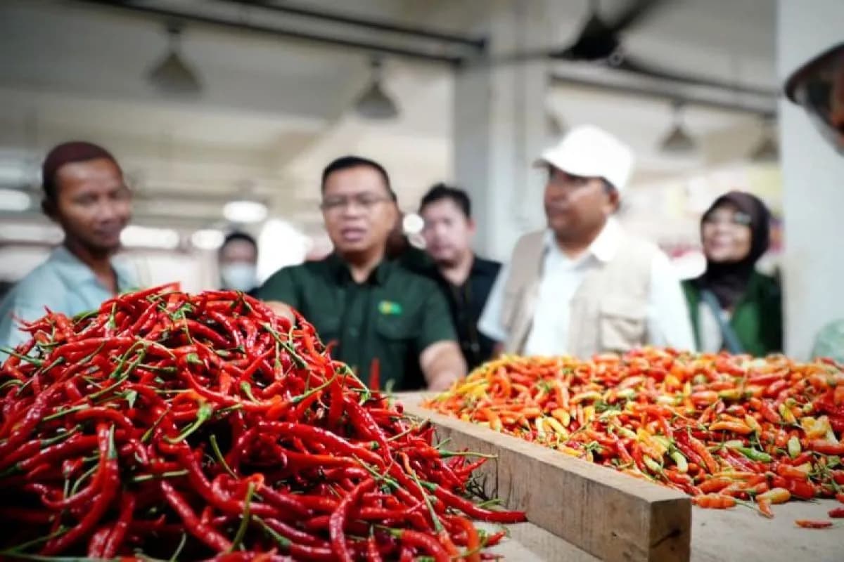 Bapanas Siapkan Distribusi Cabai dari Daerah Surplus